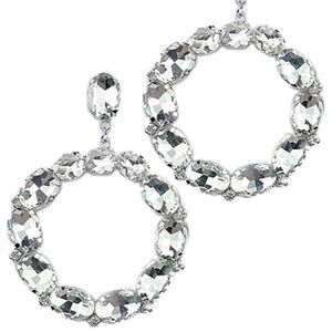 Paved Crystal Circle Earrings